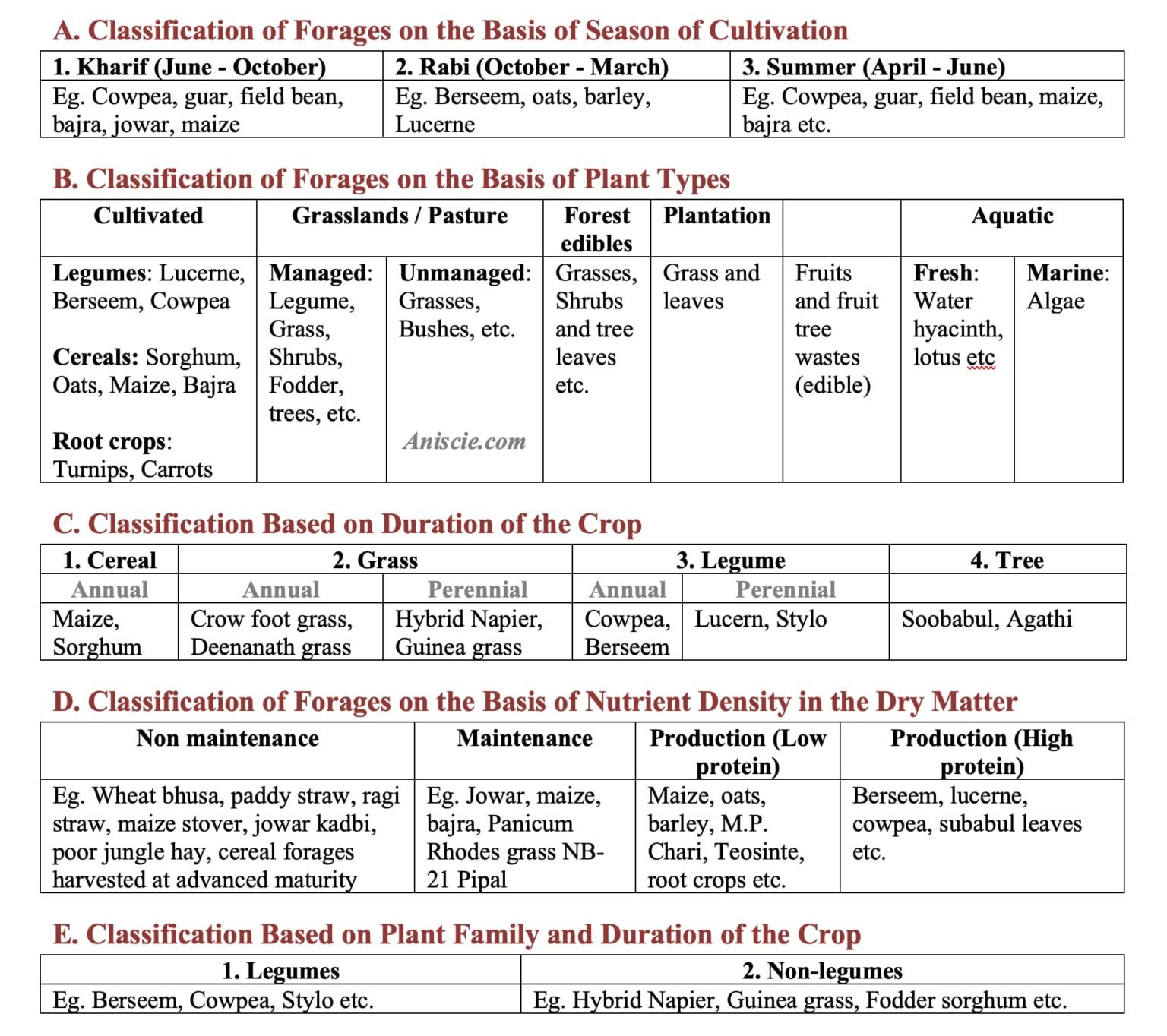 Forages Examples Fodder Production and Classification of Fodders in Animal Farming