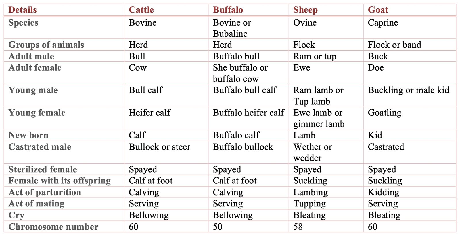 Common Animal Husbandry Terms