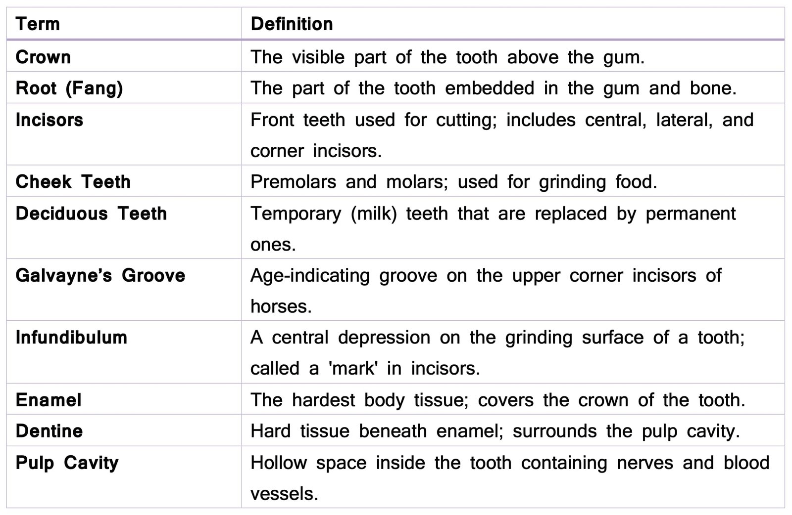 Common and Important Terms Used in Dentition in Animals