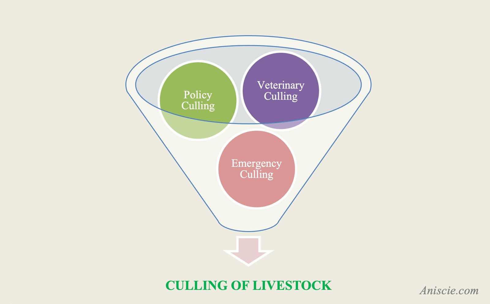 Culling of Livestock (Policy Culling, Veterinary Culling & Emergency Culling)