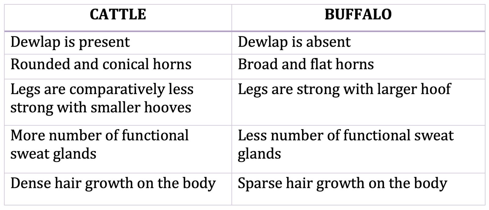 Differences Between Cattle and Buffalo