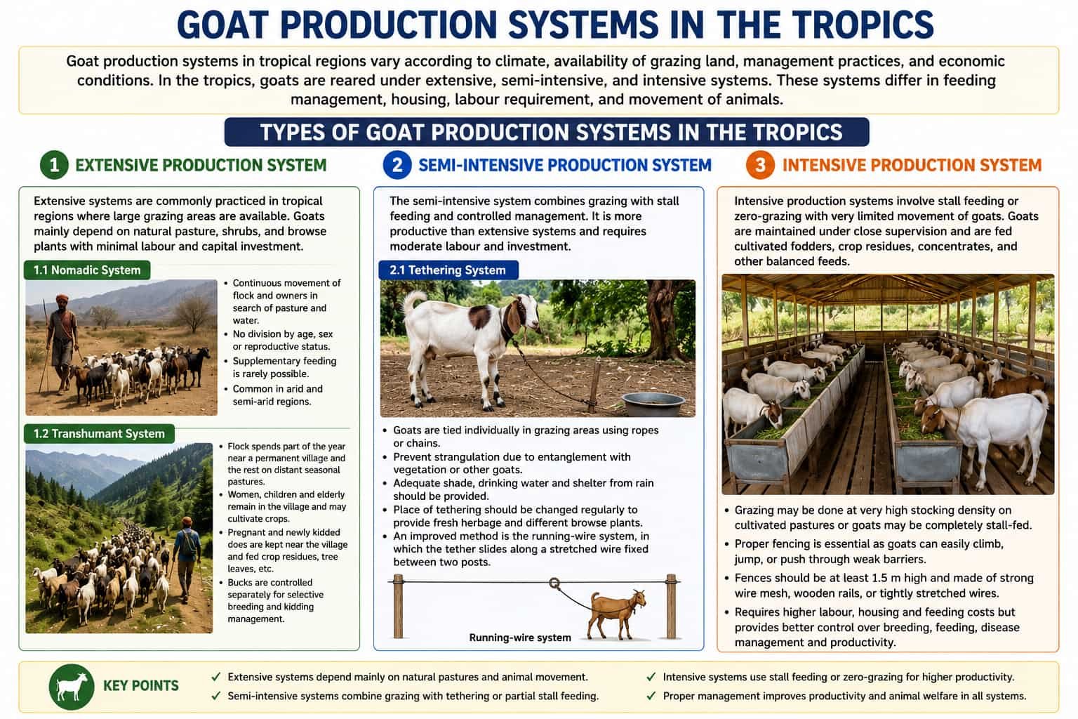 Intensive Goat Rearing Goat Production Systems in the Tropics