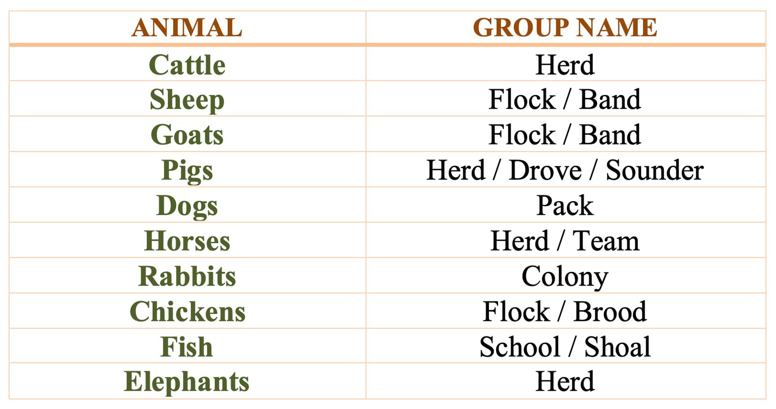 Important Names of Groups of Animals