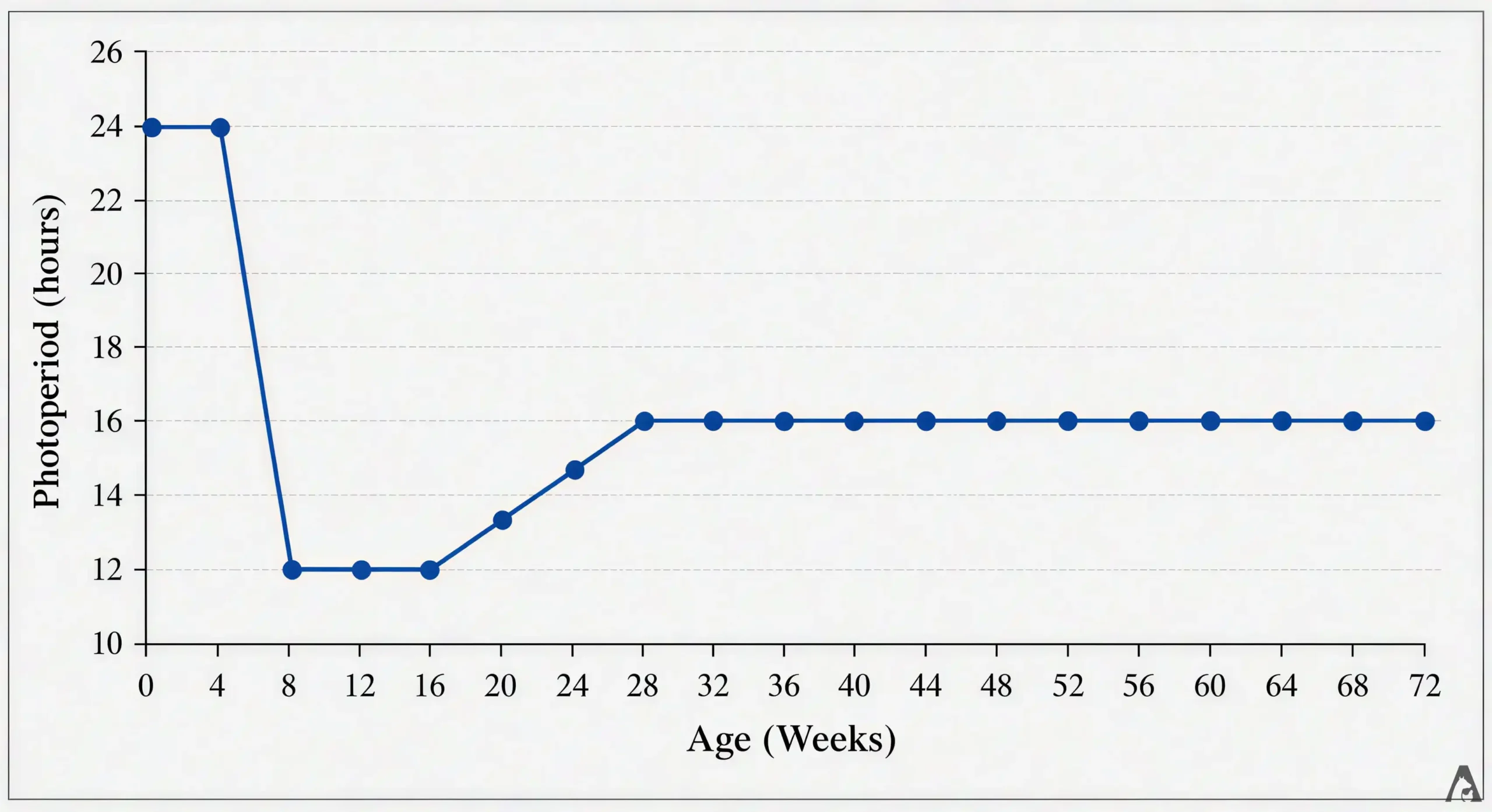Photoperiod Management in Layer Pullets