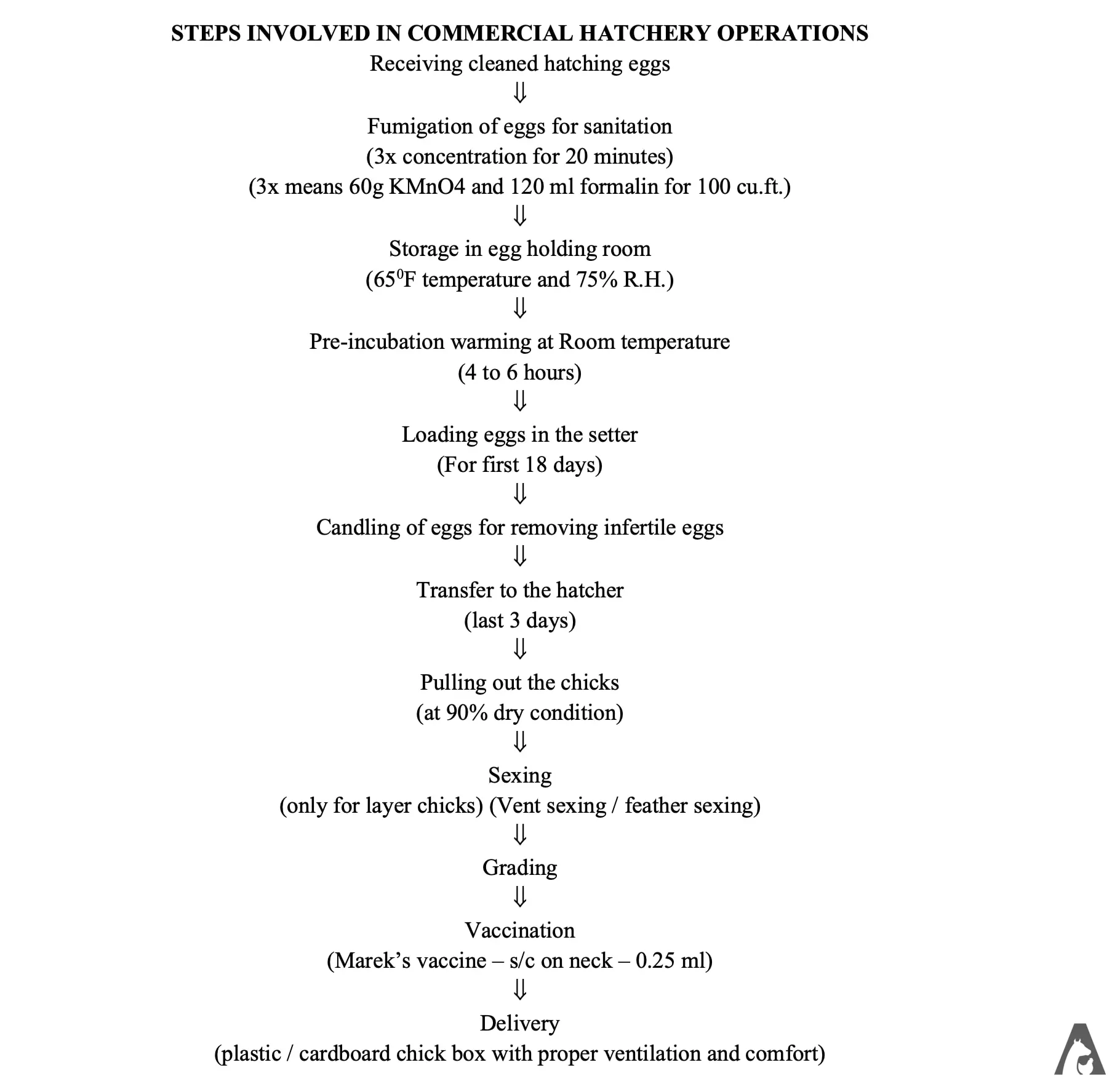 Steps Involved in Commercial Hatchery Operations