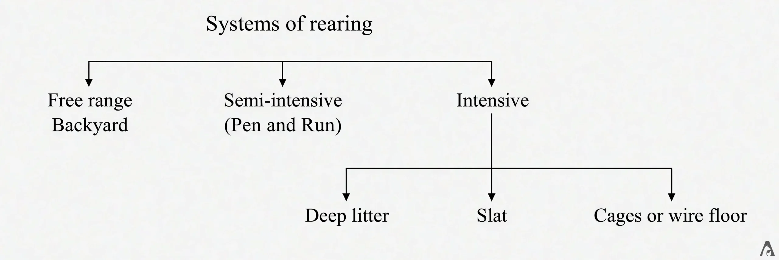 Systems of Rearing