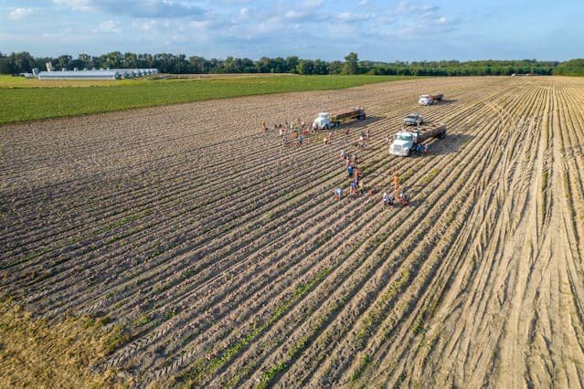 farmers economy
